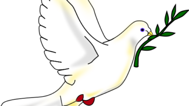 La colombe est le symbole de la paix