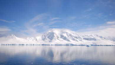L’Antarctique ne fut pas toujours une vaste étendue glacée.