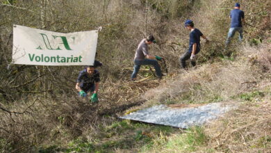Les volontaires de Nouvelle Acropole Rouen se sont associés au Club alpiniste de Haute Normandie pour préserver les Roches de Connelles